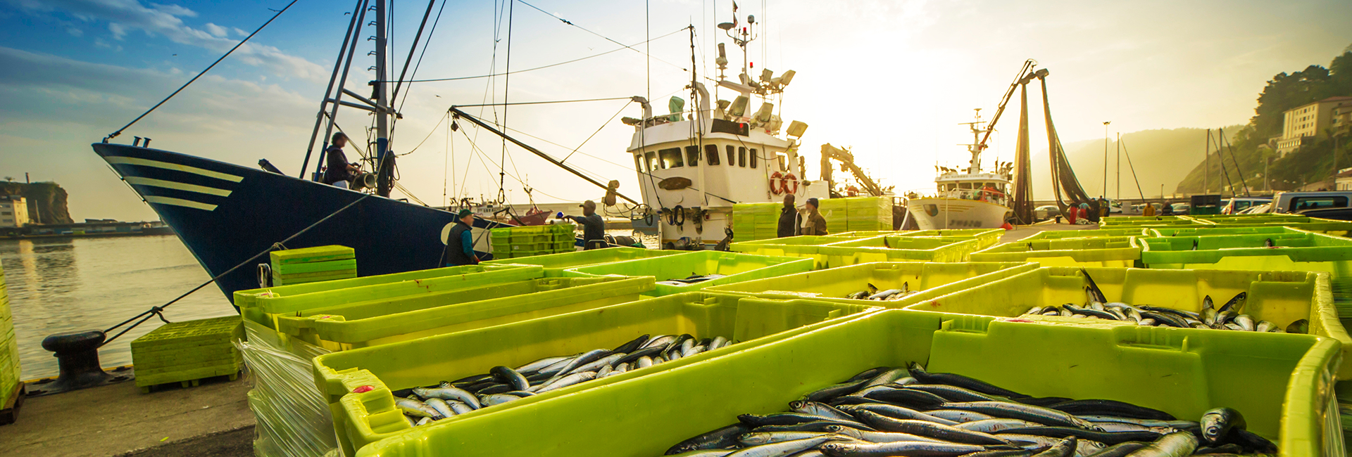 Essential Strategies Used In Anti-Piracy Services